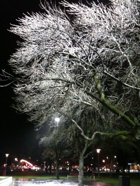 photo1