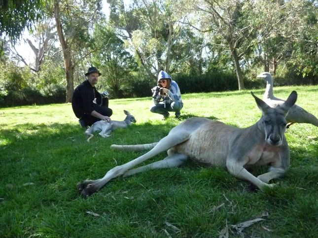 Cleland wildlife 043