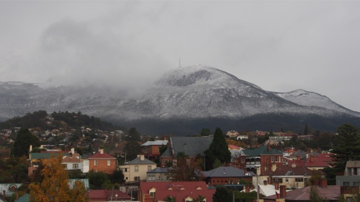 Mt Wellington - mist