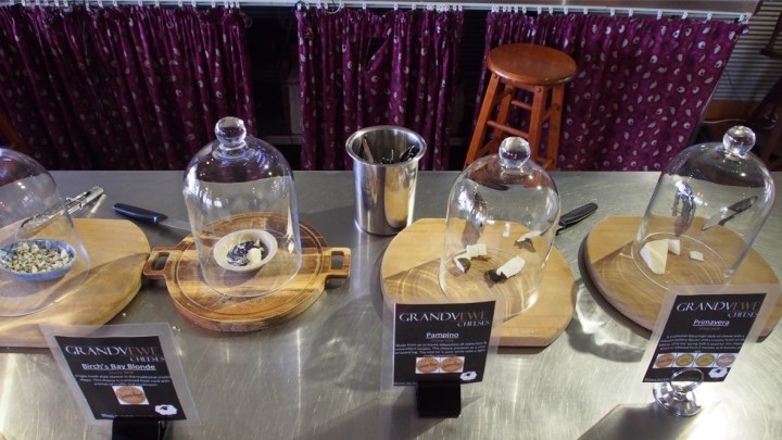 Sheep cheese tasting at Grandvewe